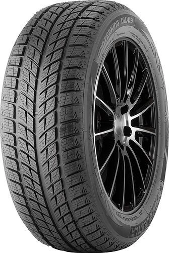 DOUBLESTAR DW09 225/45R18 95T XL FR