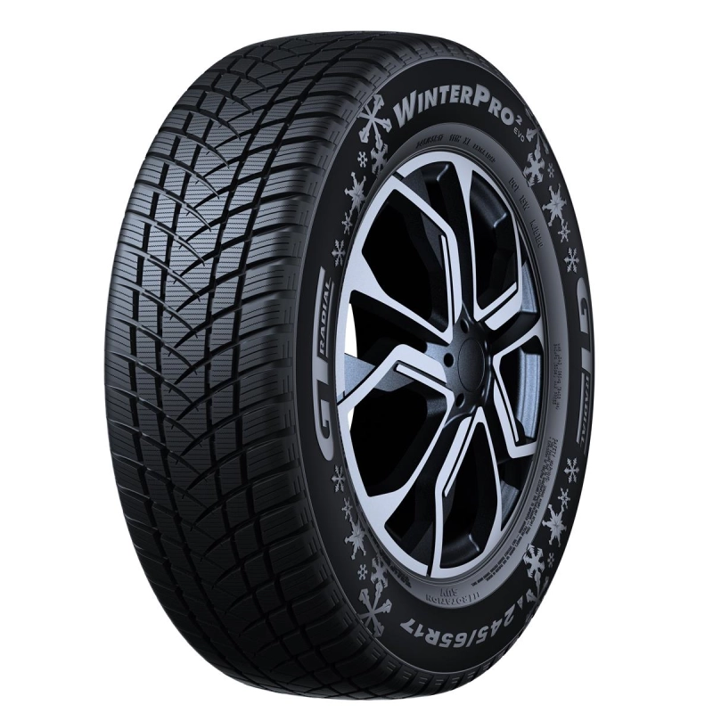 GT RADIAL WINTERPRO 2 (EVO) 195/65 R15 95T