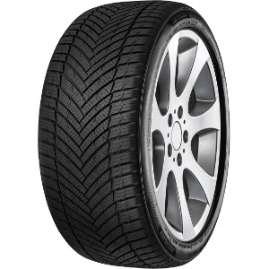 MINERVA AS MASTER 185/55R14 80H