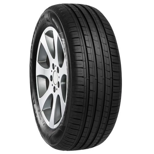 MINERVA F209 205/65R16 95H