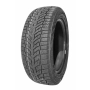 DOUBLESTAR DW08 205/50R17 93H XL