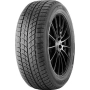 DOUBLESTAR DW09 245/45R18 96T