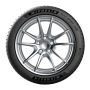 Michelin PS4S 335/25R22 105Y